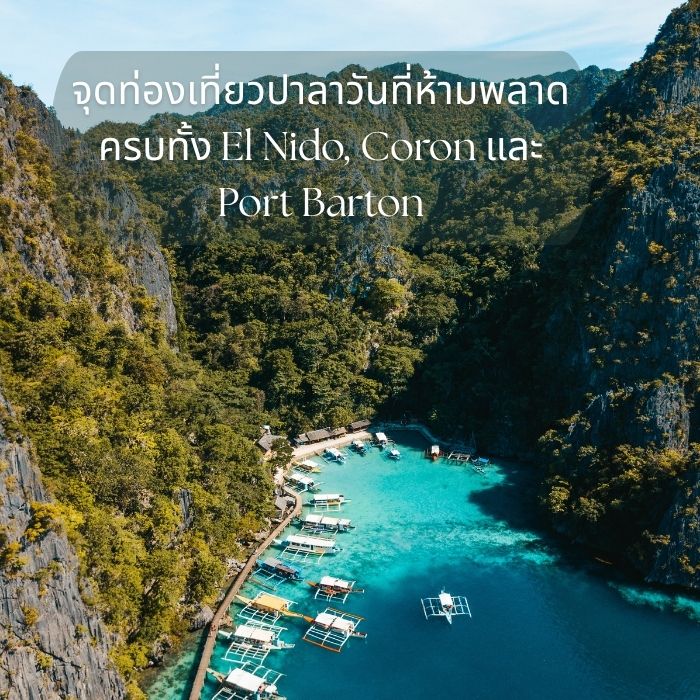 จุดท่องเที่ยวปาลาวันที่ห้ามพลาด ครบทั้ง El Nido, Coron และ Port Barton